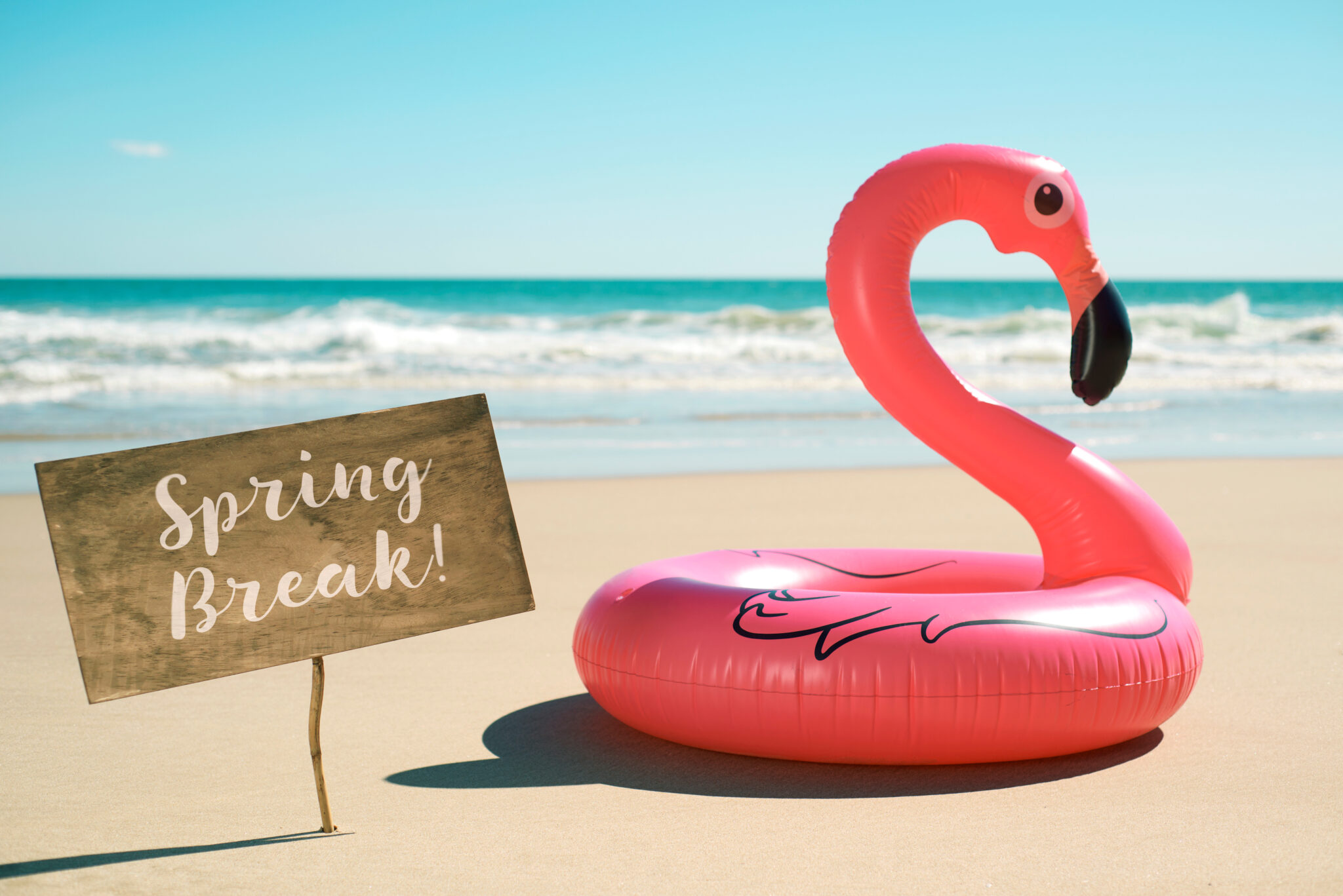 Famu students share spring break plans